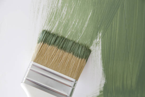 Best Mold Odor Removal Services  in Rockport, IN
