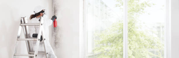 Best Commercial Mold Inspection  in Rockport, IN